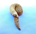 MAGNIFIQUE BROCHE FRANÇAISE EN OR 18 CARATS