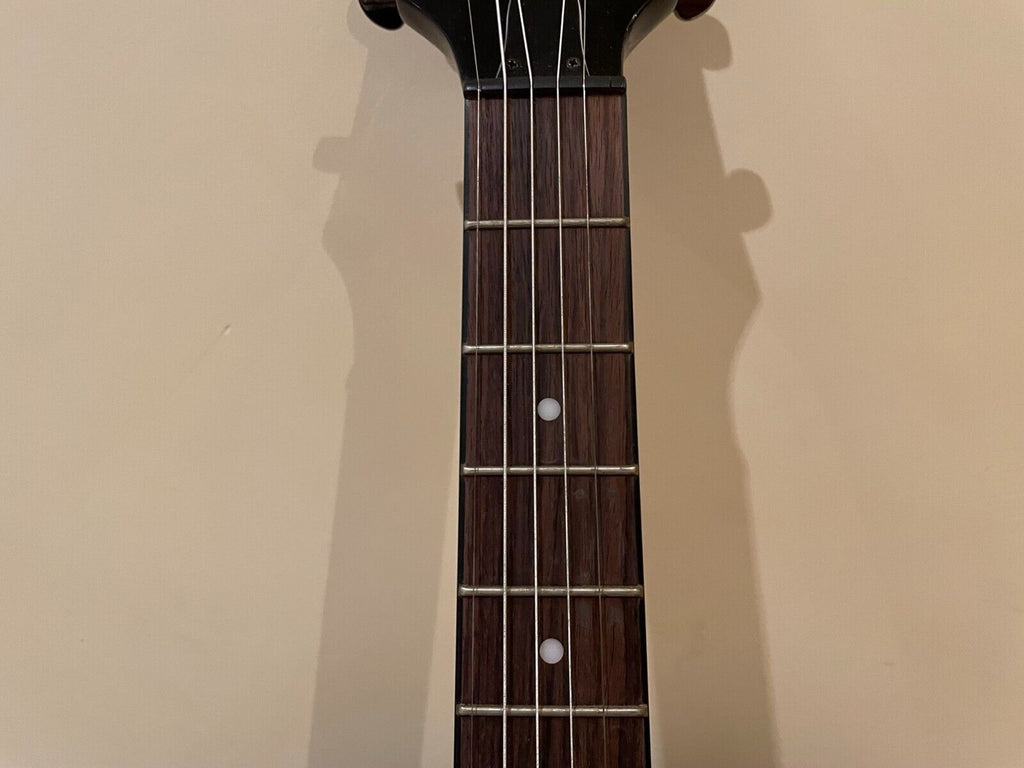 Banjo électrique Dean Backwoods